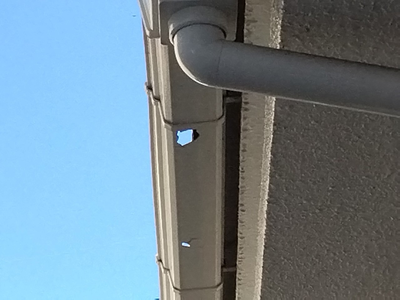 明石市　雹被害で角樋に穴開き